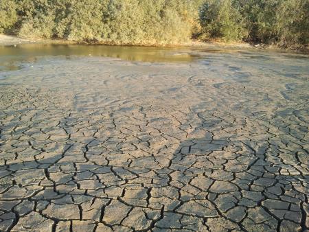 Re: la laguna de chozas de arriba se seca